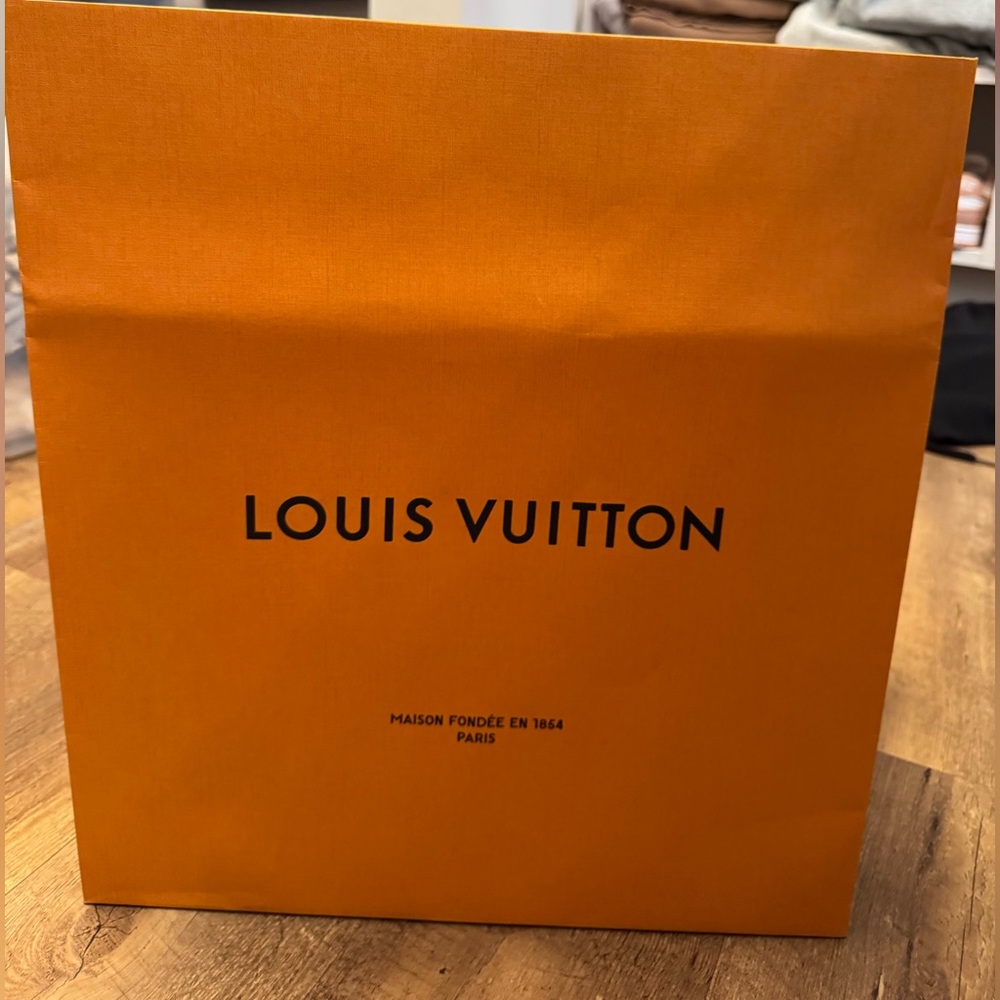 Louis Vuitton shopping bag